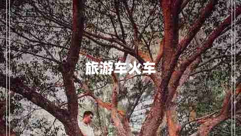 旅游車火車 旅游車火車