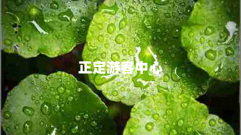 正定游客中心 正定游客中心