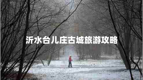 沂水臺兒莊古城旅游攻略 沂水臺兒莊古城旅游攻略