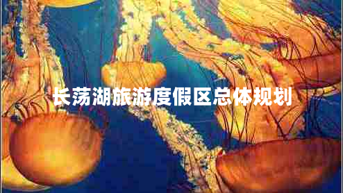 長蕩湖旅游度假區(qū)總體規(guī)劃 長蕩湖旅游度假區(qū)總體規(guī)劃