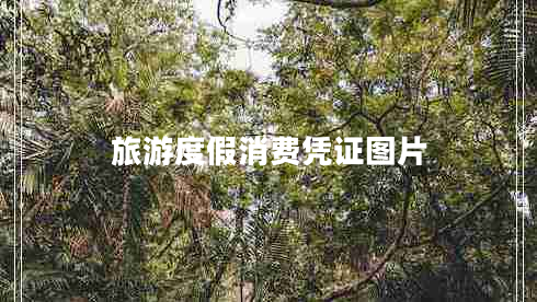 旅游度假消費憑證圖片