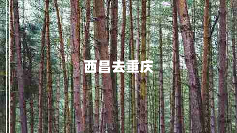 西昌去重慶 西昌去重慶