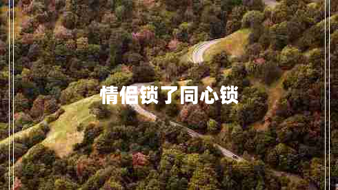 情侶鎖了同心鎖