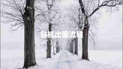 包機(jī)出國(guó)流程