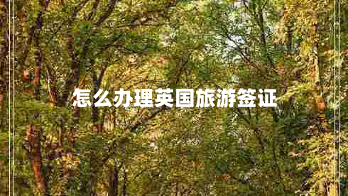 怎么辦理英國旅游簽證 怎么辦理英國旅游簽證