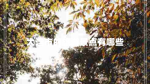 大連市的旅游景點(diǎn)有哪些 大連市的旅游景點(diǎn)有哪些