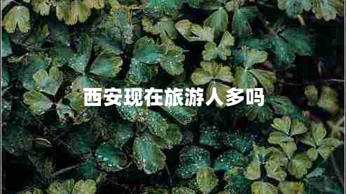 西安現(xiàn)在旅游人多嗎 西安現(xiàn)在旅游人多嗎