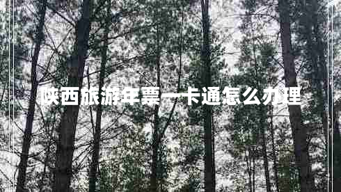 陜西旅游年票一卡通怎么辦理