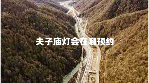 夫子廟燈會在哪預約