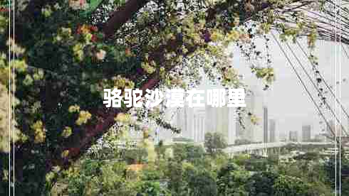 駱駝沙漠在哪里