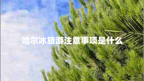 哈爾冰旅游注意事項是什么 哈爾冰旅游注意事項是什么