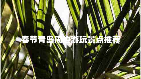 春節(jié)青島周邊游玩景點推薦