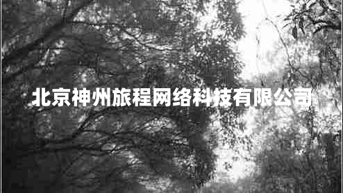 北京神州旅程網絡科技有限公司