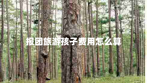報團旅游孩子費用怎么算