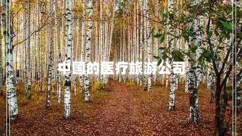 中國的醫(yī)療旅游公司 中國的醫(yī)療旅游公司