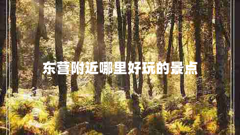 東營附近哪里好玩的景點 東營附近哪里好玩的景點