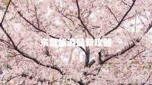 東營(yíng)旅游最新攻略