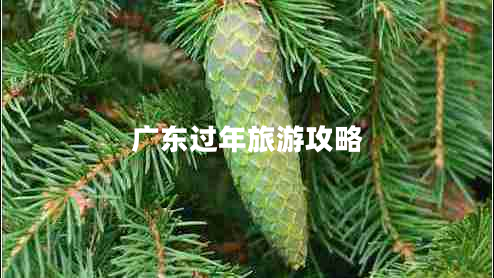 廣東過年旅游攻略