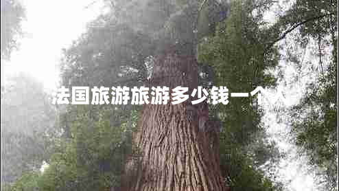 法國旅游旅游多少錢一個人