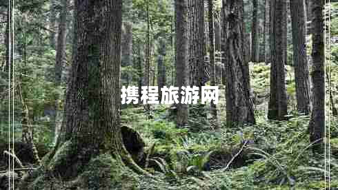 攜程旅游網(wǎng)