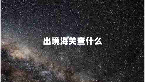 出境海關查什么