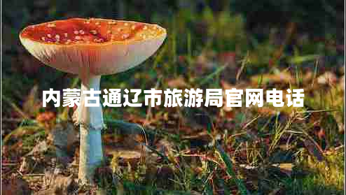 內(nèi)蒙古通遼市旅游局官網(wǎng)電話 內(nèi)蒙古通遼市旅游局官網(wǎng)電話