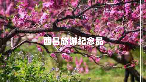 西昌旅游紀(jì)念品