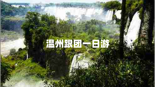 溫州跟團(tuán)一日游