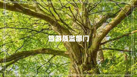 旅游質(zhì)監(jiān)部門