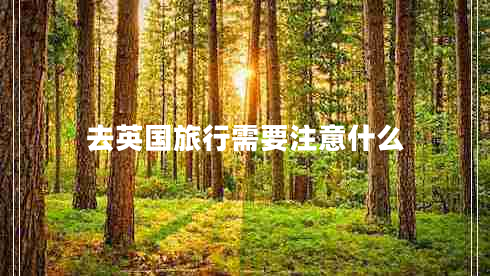 去英國旅行需要注意什么