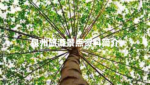 泉州旅游景點資料簡介