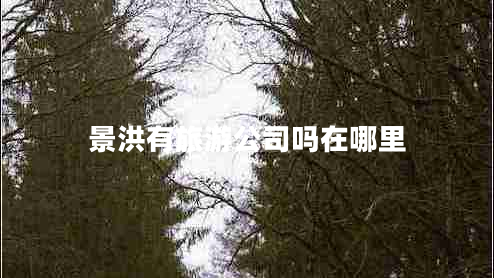 景洪有旅游公司嗎在哪里