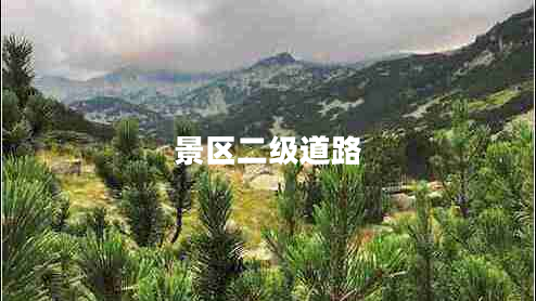 景區(qū)二級(jí)道路