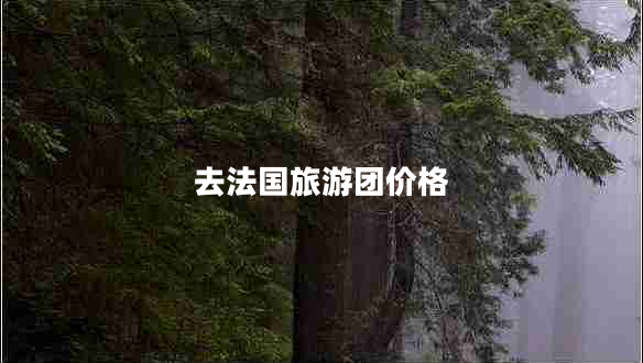 去法國旅游團價格