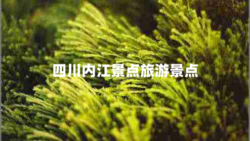 四川內(nèi)江景點旅游景點