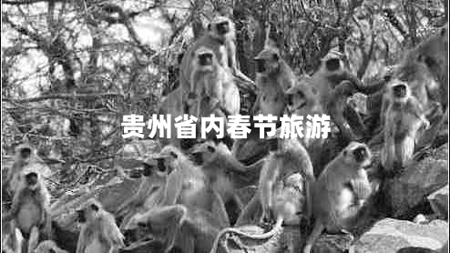 貴州省內(nèi)春節(jié)旅游