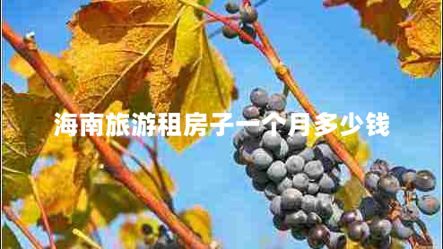 海南旅游租房子一個(gè)月多少錢