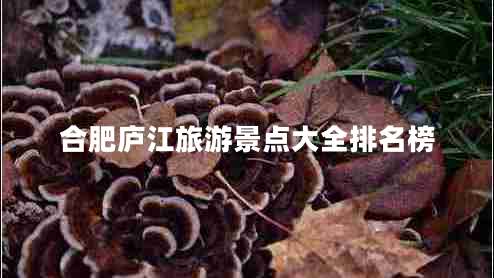 合肥廬江旅游景點(diǎn)大全排名榜 合肥廬江旅游景點(diǎn)大全排名榜