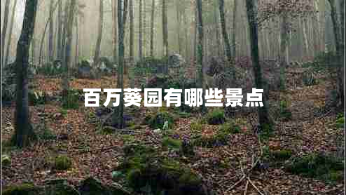 百萬葵園有哪些景點