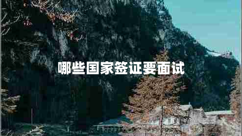 哪些國(guó)家簽證要面試