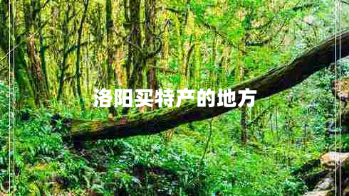 洛陽買特產(chǎn)的地方