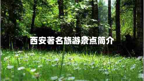 西安著名旅游景點簡介