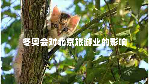冬奧會(huì)對(duì)北京旅游業(yè)的影響