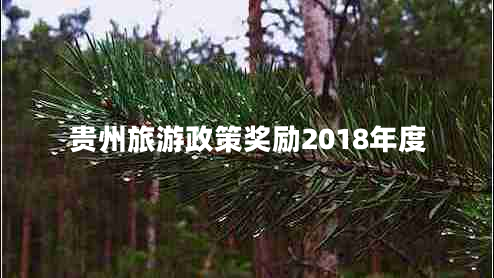 貴州旅游政策獎(jiǎng)勵(lì)2018年度