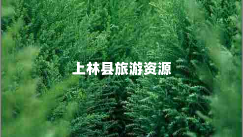上林縣旅游資源