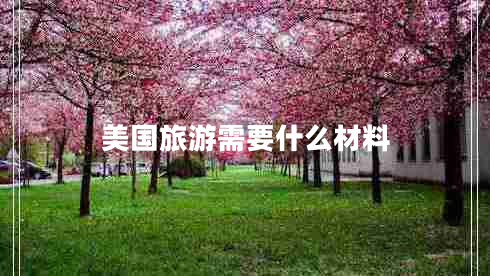 美國旅游需要什么材料