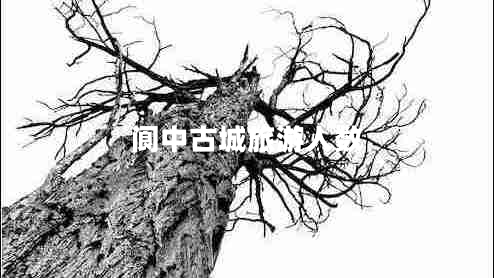 閬中古城旅游人數