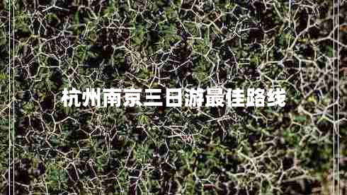 杭州南京三日游最佳路線