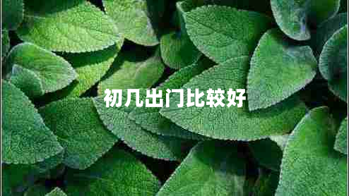 初幾出門(mén)比較好