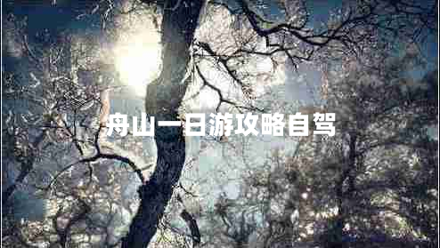 舟山一日游攻略自駕 舟山一日游攻略自駕